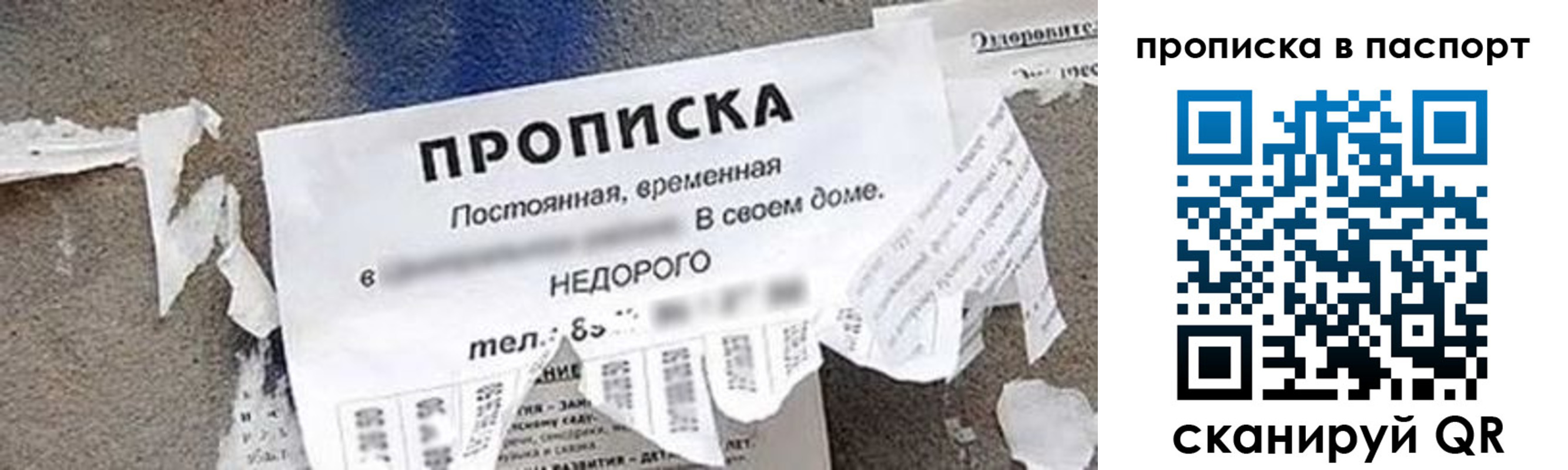 где прописаться в Волхове